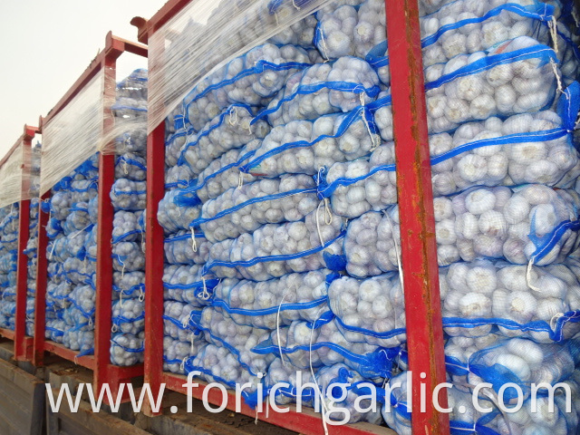 Best Quality Fresh Normal Garlic 5 0cm